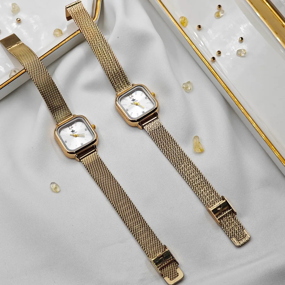 Stainless Steel Hasır Kordon Bayan Saati