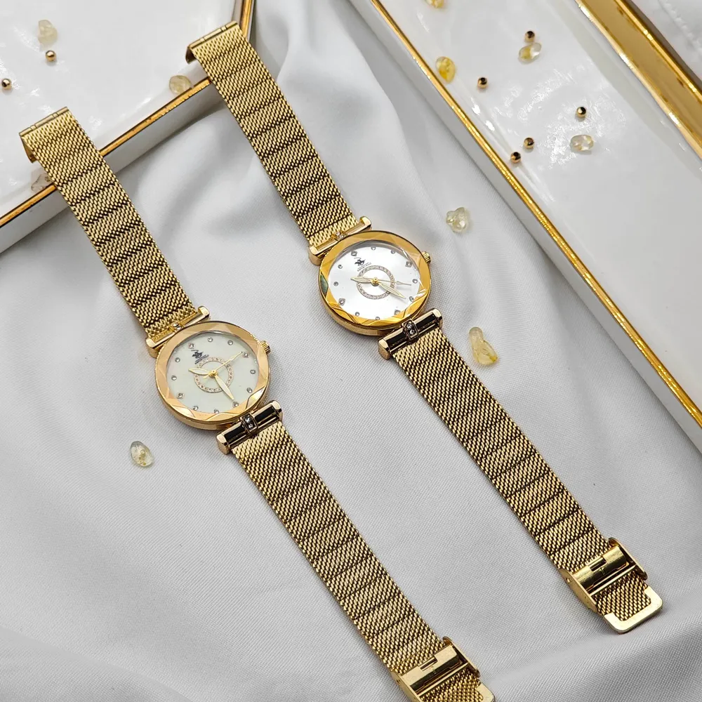 Stainless Steel Hasır Kordon Bayan Saati