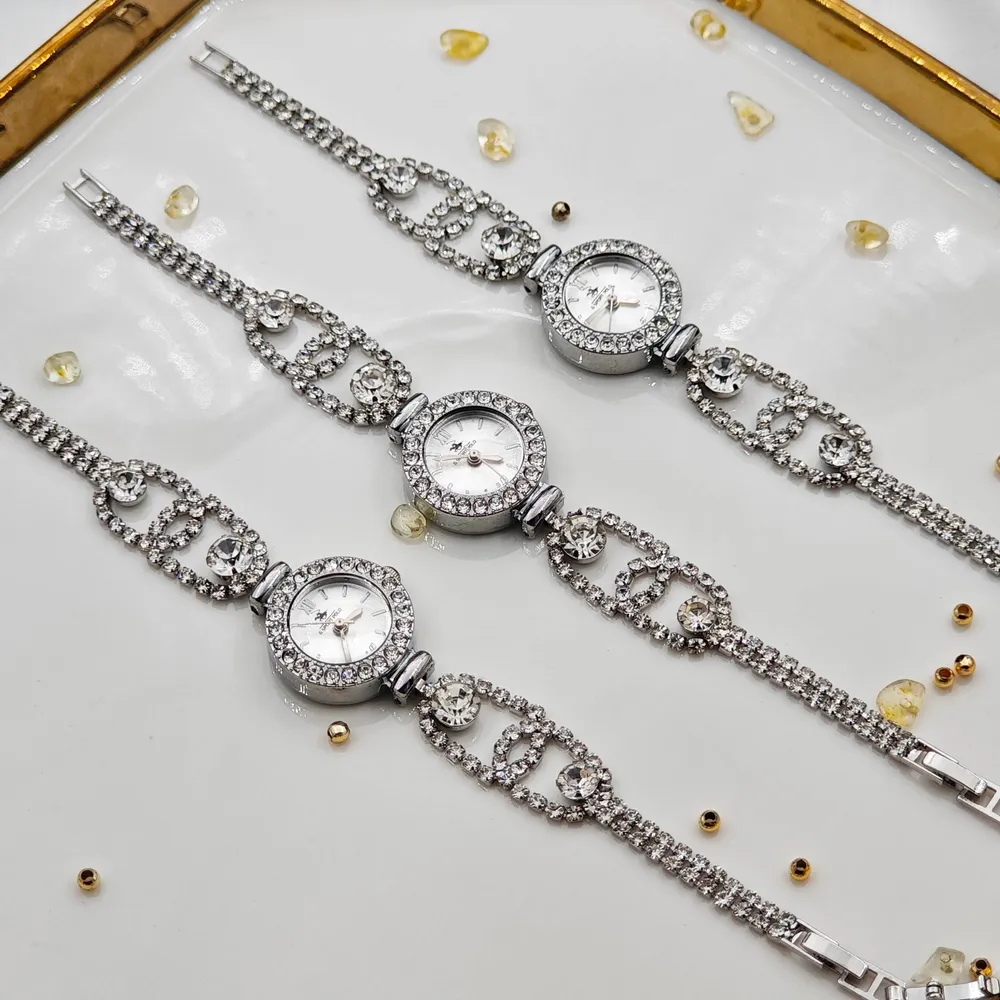 Zirkon Taşlı Luxy Bayan Saati Gümüş