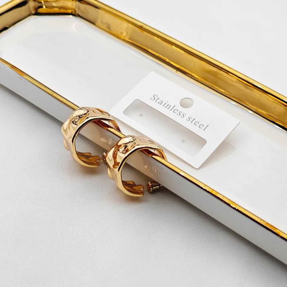 Stainless Steel Modern Küpe